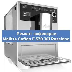 Замена прокладок на кофемашине Melitta Caffeo F 530-101 Passione в Самаре